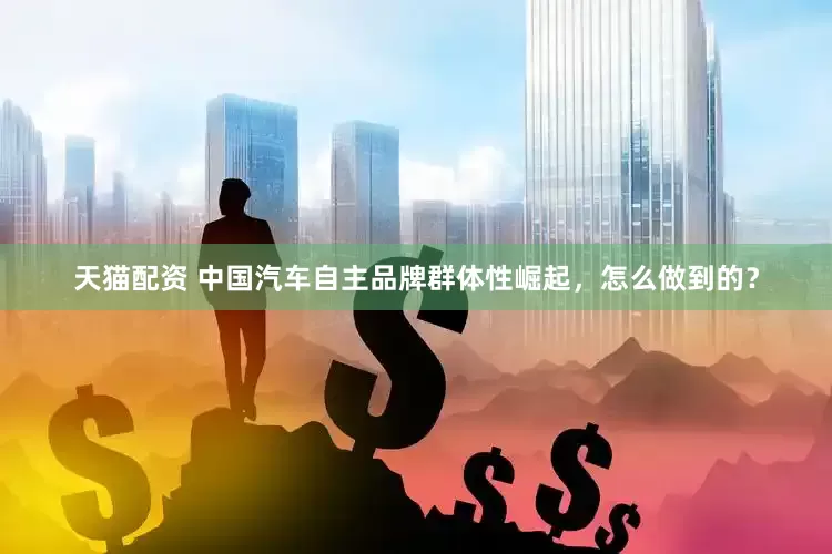 天猫配资 中国汽车自主品牌群体性崛起，怎么做到的？